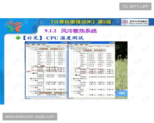 日职联波胆规律避坑指南 彩票与数字高频玩法防骗